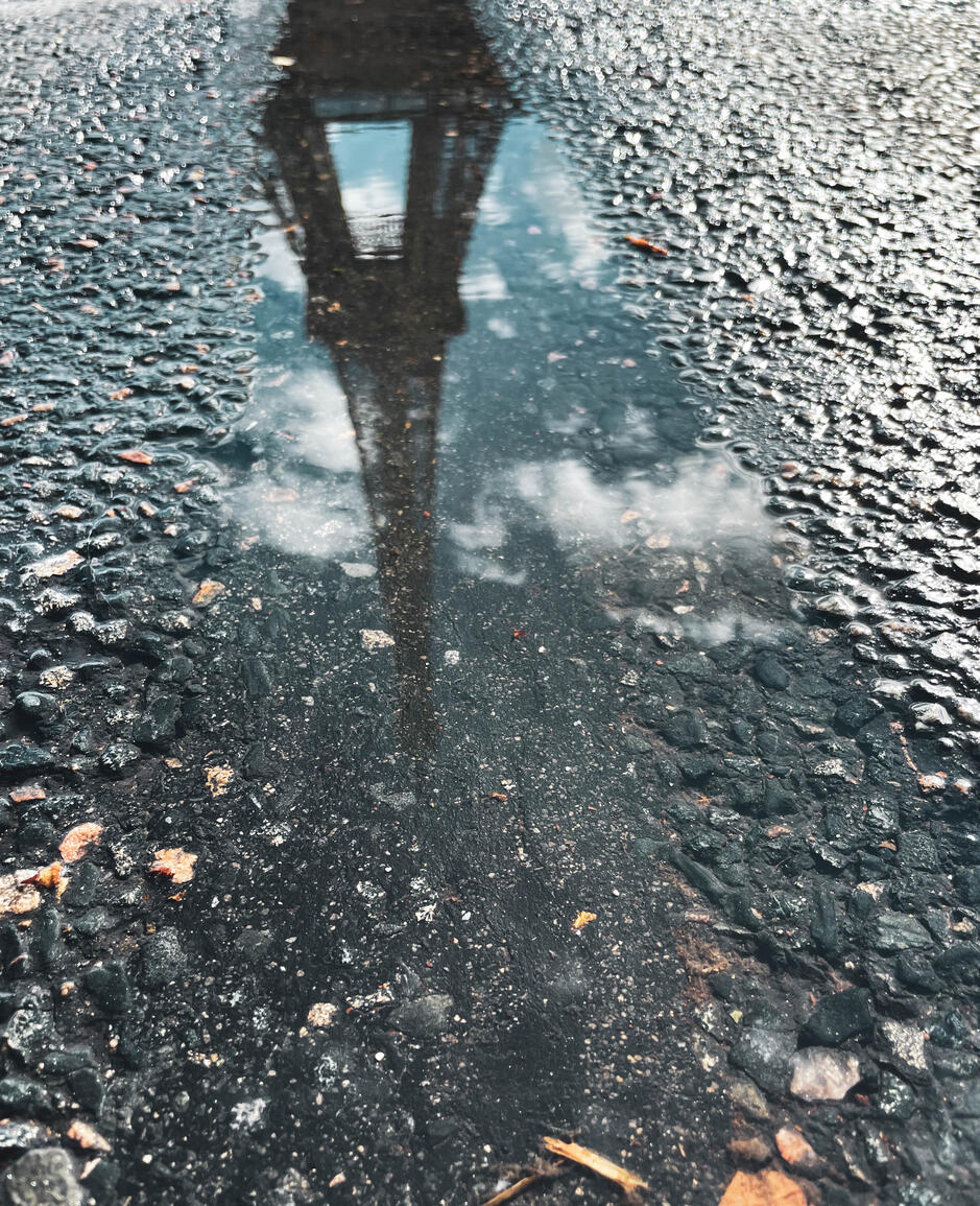 Untitled Untitled